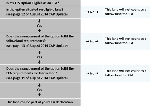 Is my ELS Option Eligible as an EFA?