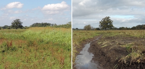 The same location before (left) and after (right) a ditch has been re-dug and vegetation cleared