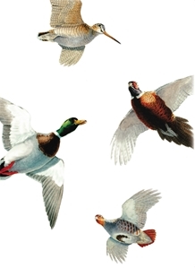 The GWCT's free shoot sweepstakes pack is strikingly illustrated by renowned wildlife artist Owen Williams