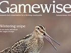 Gamewise Autumn 2018 issue - a sneak preview
