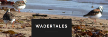 GWCT LIFE Waders For Real _Wader Tales Logo _small