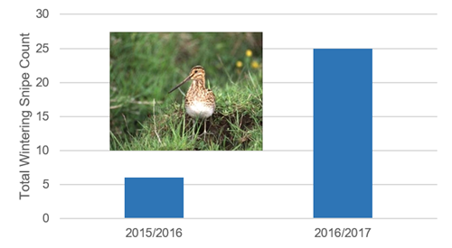 GWCT LIFE Waders For Real _snipe Graph