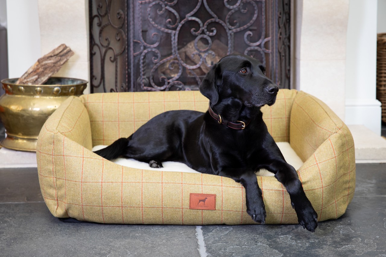 The Red Dog Company Luxury Dog Beds and Accessories Game and