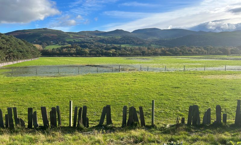 Curlew Connections And More: Highlights From Bangor University's Visit ...