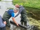 The Environmental Farmers Group (EFG) aims to restore the UK’s precious chalk streams