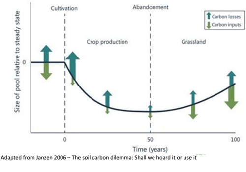 Soil Carbon Graph 1