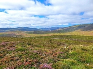 Grouse Moor (credit Hugo Straker)