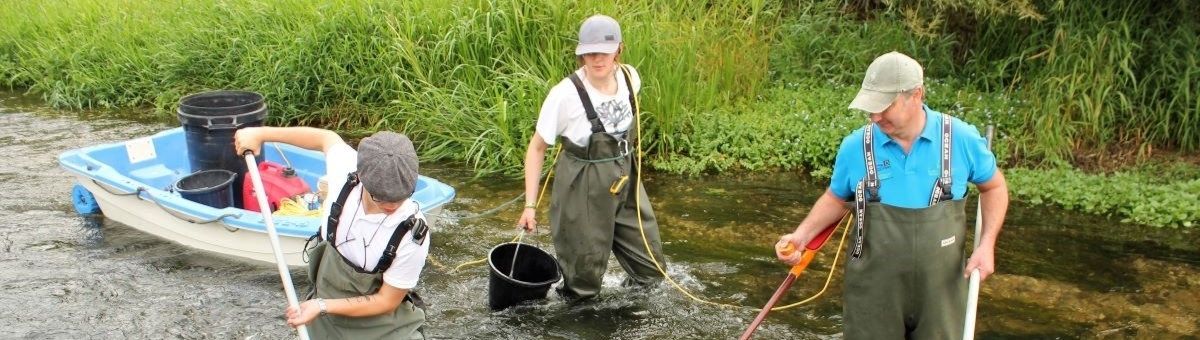 Save Our Salmon Appeal