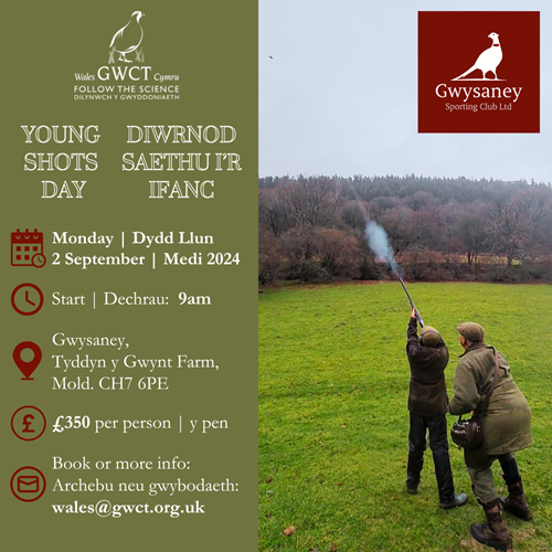 Gwysaney Young Shots Day (2 Sept 2024) BILINGUAL (£350)