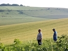 Insect decline of 37% over 50 years shows support for farmers is crucial to biodiversity recovery