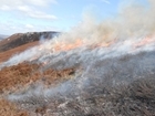 Reminder: Muirburn season begins 1st October