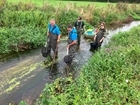 Annual salmon count shows lowest number of juveniles for more than 20 years