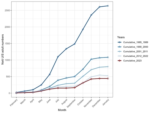 Salmon Coin Graph