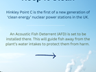 #KeepItClean: Hinkley Point C and the Acoustic Fish Deterrent