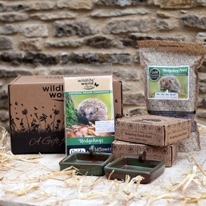 Hedgehog Gift Set