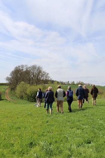 Farm walk