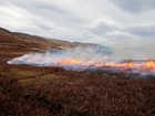 Scotland: GWCT support for new muirburn licences