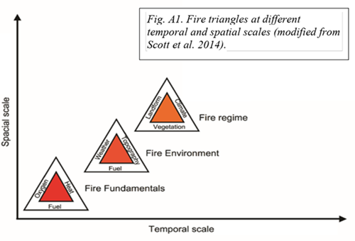 Wildfire Blog 1