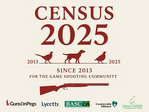 Census Logoed (3)