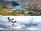 Taylor’s Port to collaborate with The Secret Bottle Shop to further support The Game and Wildlife Conservation Trust