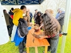GWCT Schools Art Competition