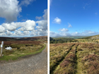 The beginning of my Uplands placement year – Learning in the field