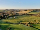 GWCT welcomes the review on Farming Profitability