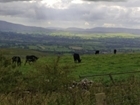Five months into a year in the uplands: Not your typical placement year