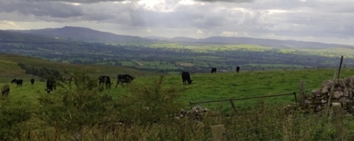 Eden Valley