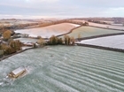 Back Where It Began: The Big Farmland Bird Count at Allerton