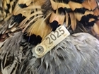A history of tagging for research