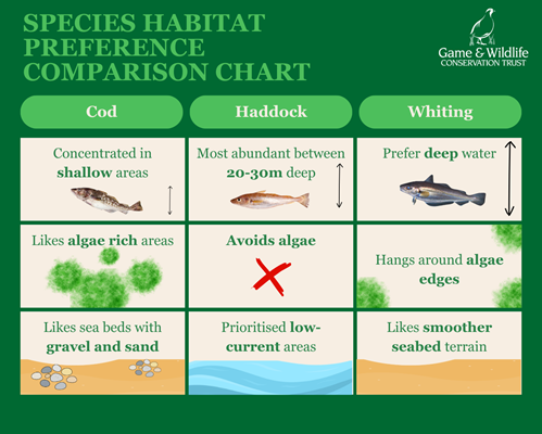 Fish Nursery Preferences Updated