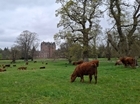 PepsiCo FAB expands its nature friendly farming project to bring onboard dozens more farms across the country