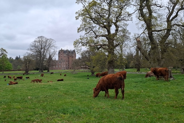 Strathmore