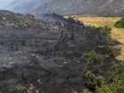 GWCT Calls for Urgent Action and 'All Tools in the Toolbox' to Combat Rising Wildfire Risk