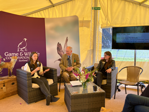 Wildcat Talk Scottish Game Fair