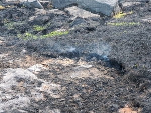 Tintwhistle Wildfire Aftermath