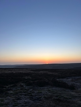 Joel Sunrise Lek Count