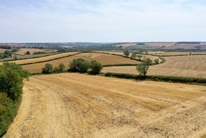 Jenny Bussell Dry Allerton