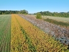 Environmental Delivery Under Pressure: Our SFI26 Plans