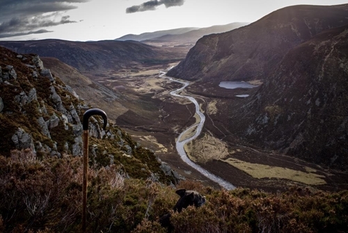 Scotland Macnab Scotland Macnab