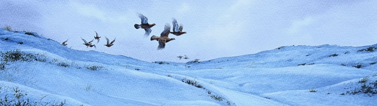 GWCT Christmas Cards