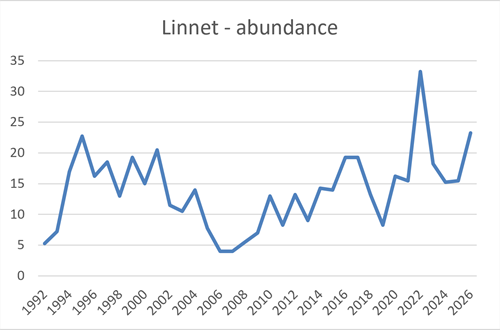 Linnet Abundance Linnet Abundance