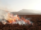 Wildfire and prescribed fire – a year on