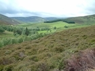 Is peatland restoration just money down the drain? Peaky BlindSpots has the answers
