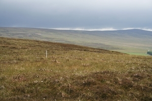 Markers For Grit Boxes At 100M