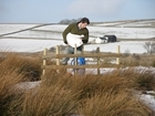 Taking care when feeding the birds this winter