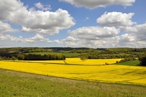 Kent in May