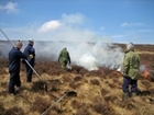 Vital to get peatland and upland heath management right: Our letter to The Guardian