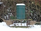 Channel 4 interview gives GWCT opportunity to highlight conservation benefits of game management